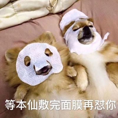 我是不是你的小可爱
