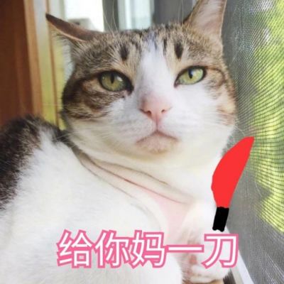 我是不是你的小可爱