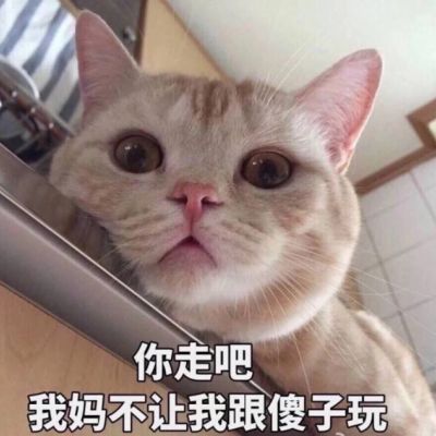 我是不是你的小可爱
