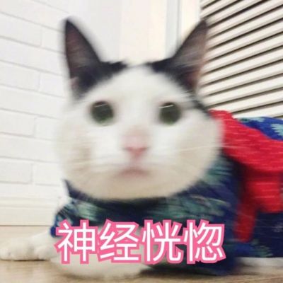 我是不是你的小可爱
