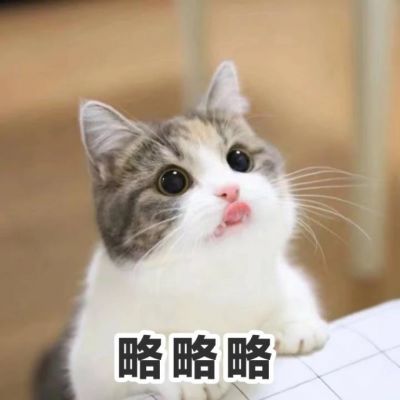 我是不是你的小可爱