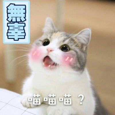 我是不是你的小可爱