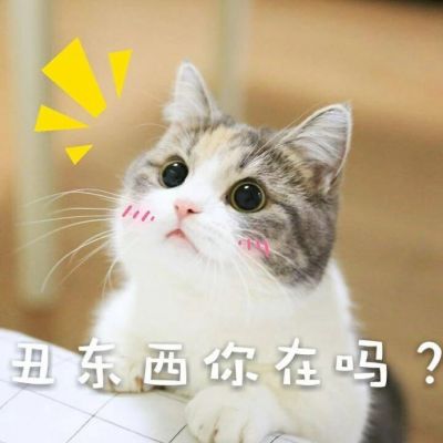 我是不是你的小可爱