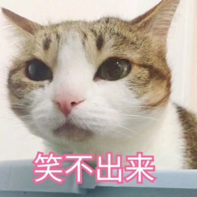 我是不是你的小可爱