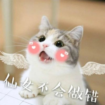 我是不是你的小可爱