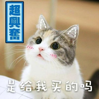 我是不是你的小可爱