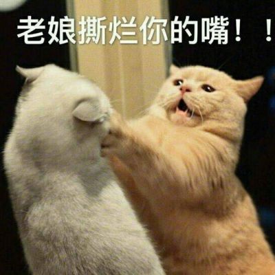 搞笑无底线的表情包
