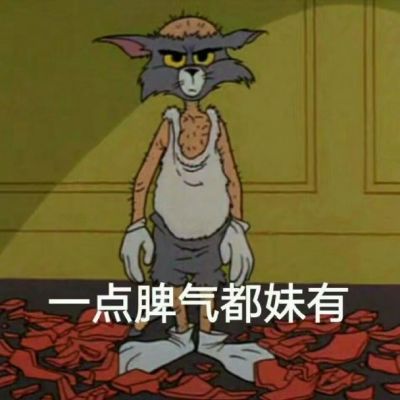 搞笑无底线的表情包