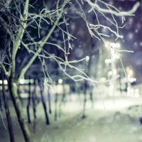 雪景头像