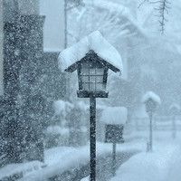 雪景头像