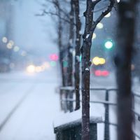 雪景头像