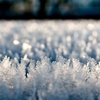 雪景头像