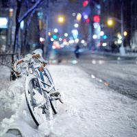 雪景头像