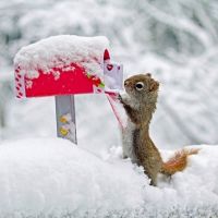 雪景头像