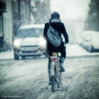 雪景头像
