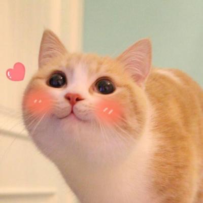 喵~