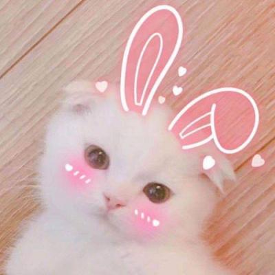 喵~