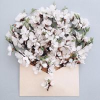 花开信封