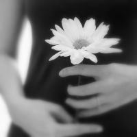 唯美捧花女生