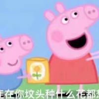 小猪佩奇表情包?
