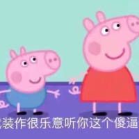 小猪佩奇表情包?