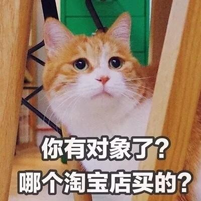 超可爱的猫咪表情包微信头像 二货猫星人的戏精生活