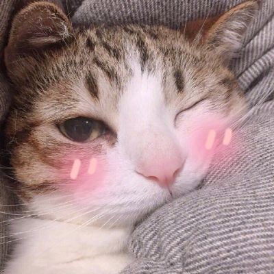 可爱猫星人卖萌头像