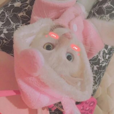 可爱猫星人卖萌头像
