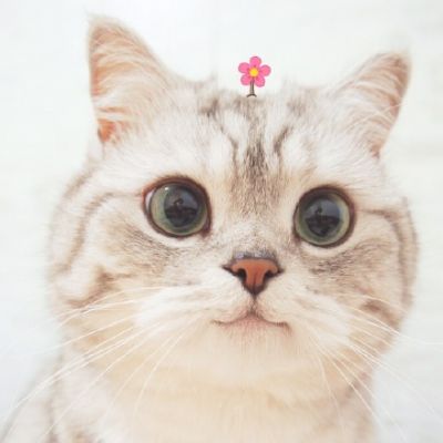 可爱猫星人卖萌头像