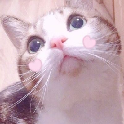 可爱猫星人卖萌头像