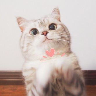 可爱猫星人卖萌头像