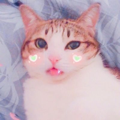 可爱猫星人卖萌头像