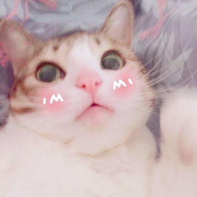 可爱猫星人卖萌头像