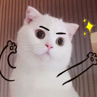 可爱猫星人卖萌头像