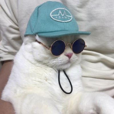 可爱猫星人卖萌头像