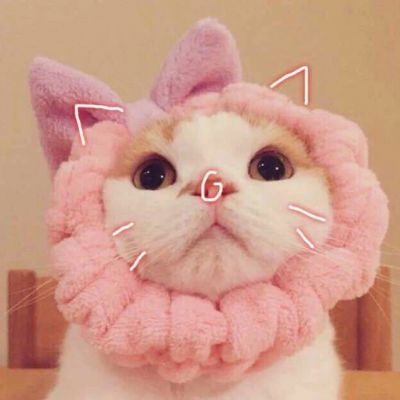 可爱猫星人卖萌头像