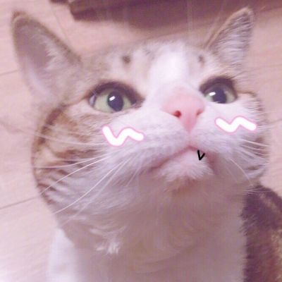 可爱猫星人卖萌头像