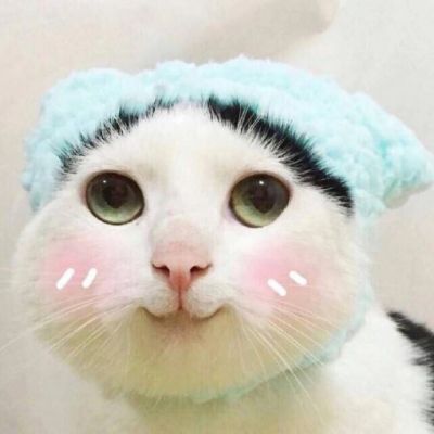 可爱猫星人卖萌头像