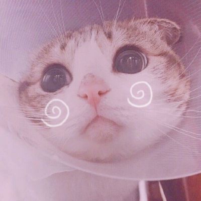 可爱猫星人卖萌头像