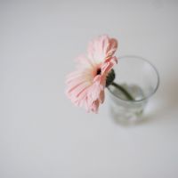 花季