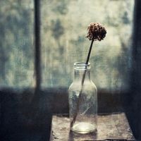 花季