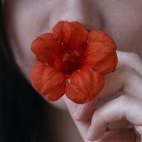 花季