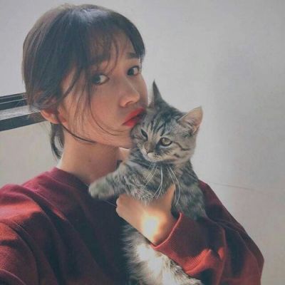 少女情怀总是诗