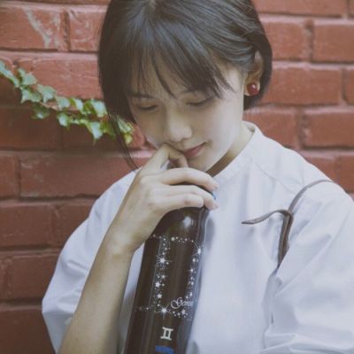 少女情怀总是诗