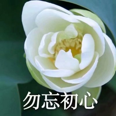 据说，现在流行这种头像