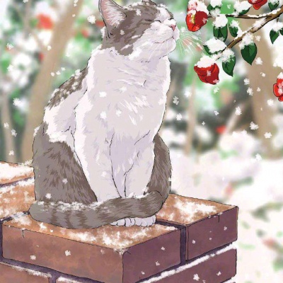 猫系