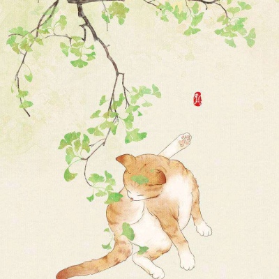 猫系