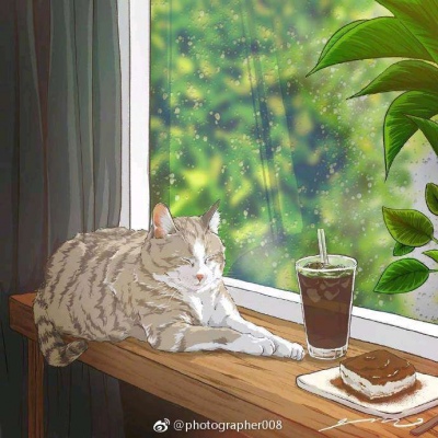 猫系