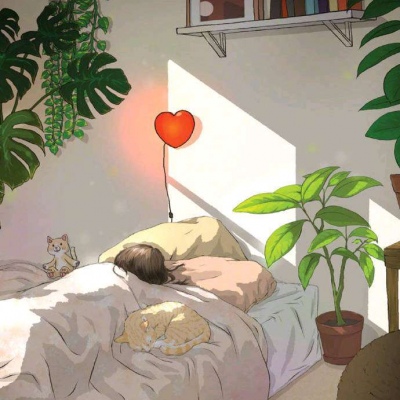 猫系
