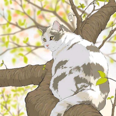 猫系